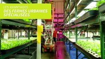 Les fermes urbaines spécialisées