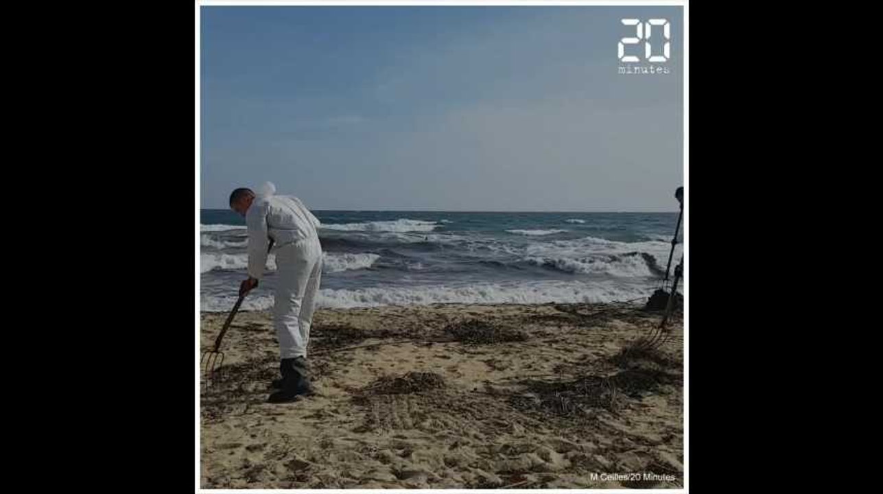 Var: Début des opérations de nettoyage des galettes de mazout qui se sont échouées sur les plages