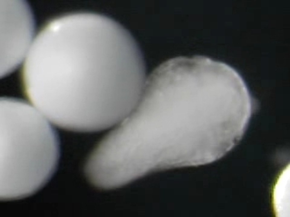 PLUS0048