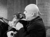The Addams Family S01E28 - My Son, the Chimp