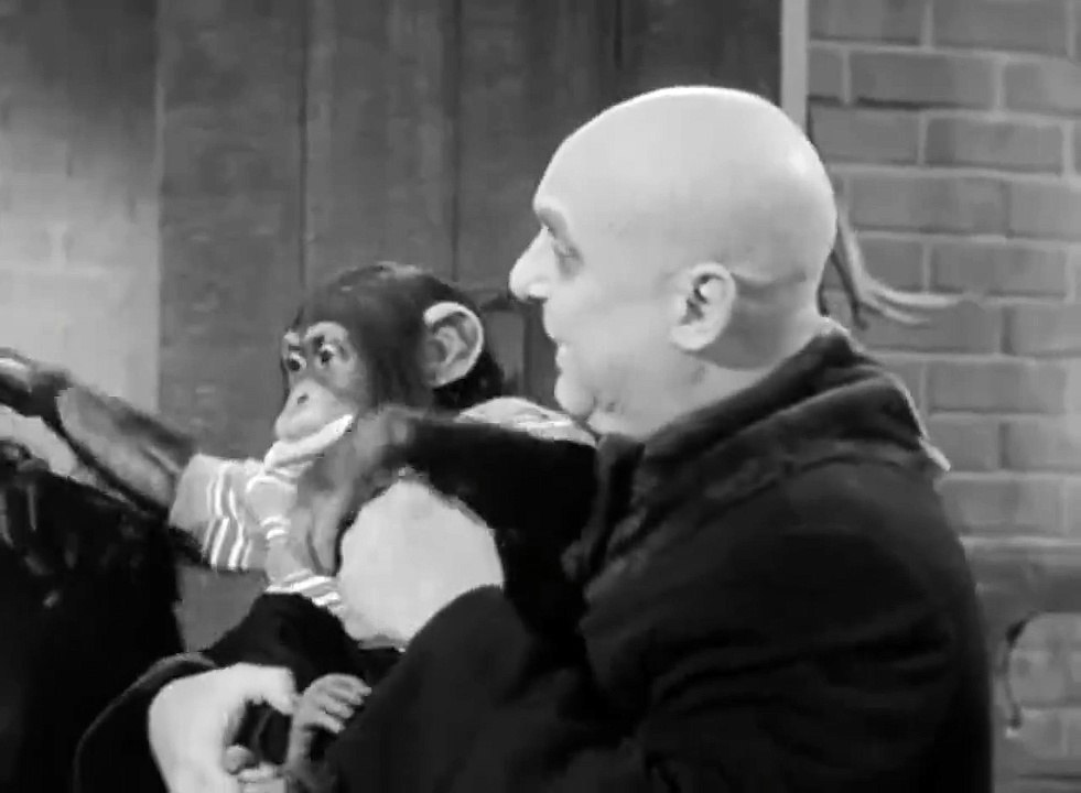 The Addams Family S01E28 - My Son, the Chimp