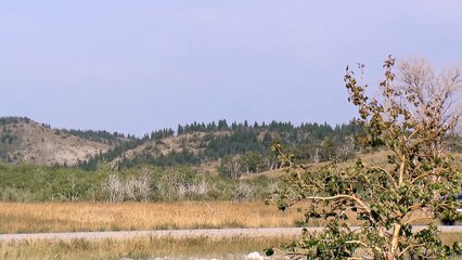 BMW X7 (Tout-terrain)