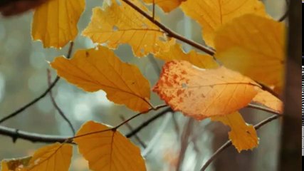 The BBC at War S01 - Ep02 Into Battle -. Part 02 HD Watch