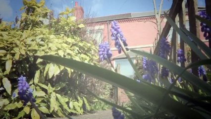 Homes Under the Hammer S17 - Ep49 - Part 01 HD Watch