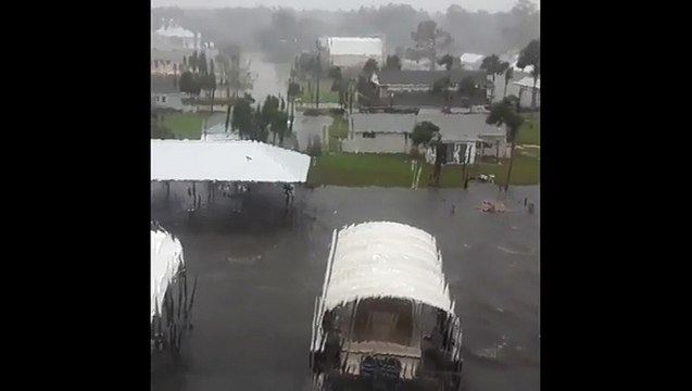 Crazy Footage Shows The Power Of Hurricane Michael's Storm Surge On The Florida Coast - Digg