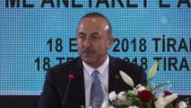 Çavuşoğlu: 'Arnavutluk tarihi bağlarımızın olduğu gerçek bir dost ülkedir'- TİRAN