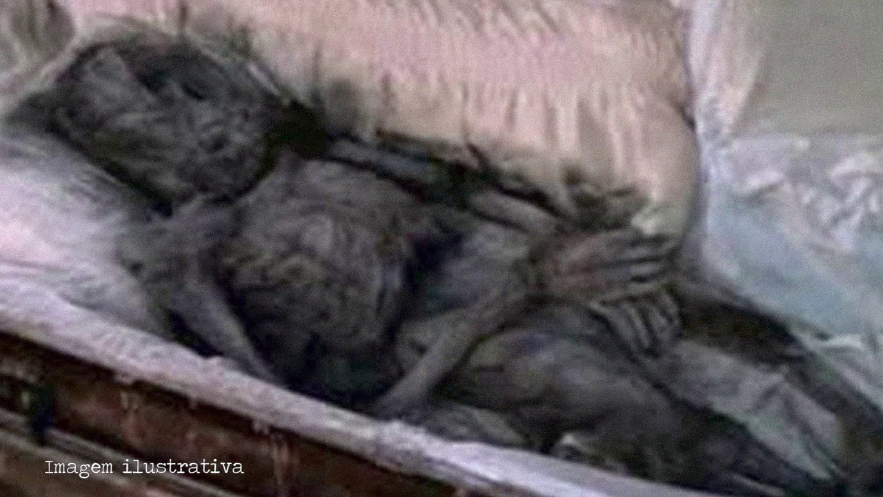 A Lápide Alienígena de Aurora, Moradores ENTERRARAM um Extraterrestre