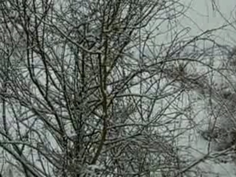 NEVICATA AL CHIAVICONE 1