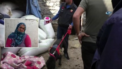 Kayıp Sedanur’un Annesi: "Ne Olur Kızımı Bulun"