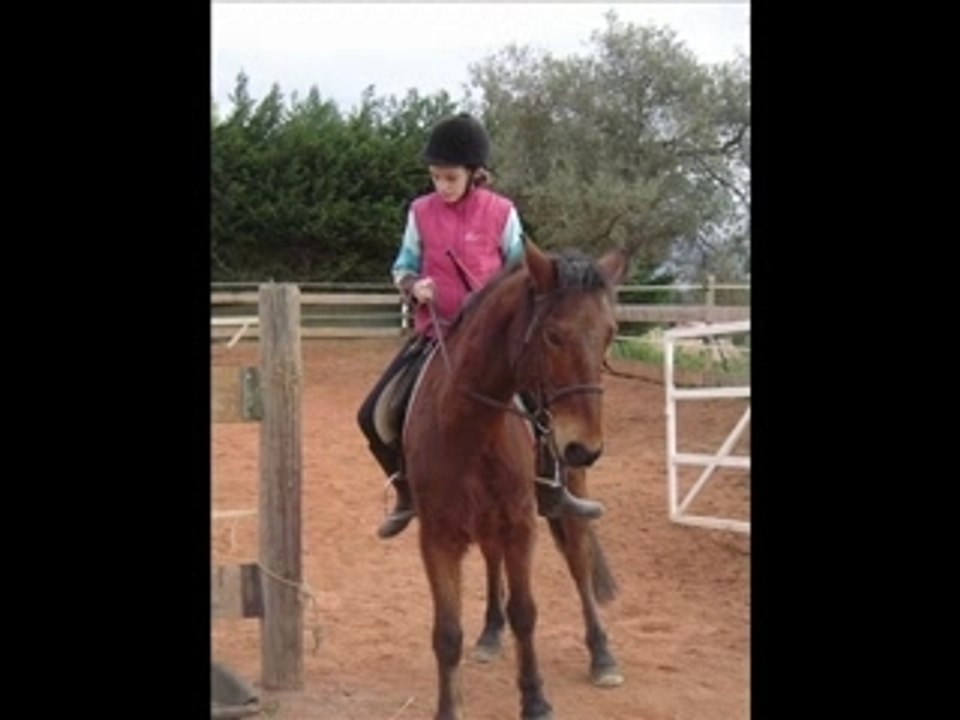 Cheval ...