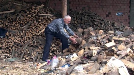 Odun ve Kömür Cep Yakıyor