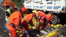 Bolu TEM'de Kaza! Araçlar Birbirine Girdi, Otoyol Kavun Tarlasına Döndü