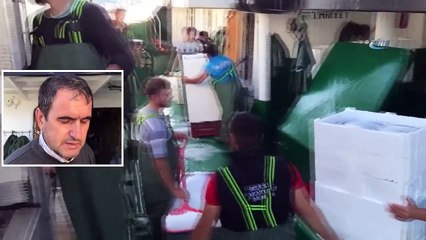 Balıkçılar Karadeniz'den 40 Ton Palamutla Döndü!