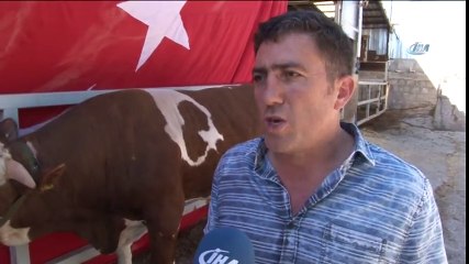 Üzerinde Doğuştan Ay ve Yıldız Olan 'Cesur'  Meraklı Vatandaşların İlgi Odağı Oldu