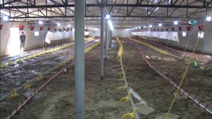 Kaynarca’daki Sel Felaketi 38 Bin Civcivi Telef Etti