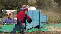 Dededen Kalma Tarihi Harman Makinesiyle Buğday ve Fasulye Hasadı
