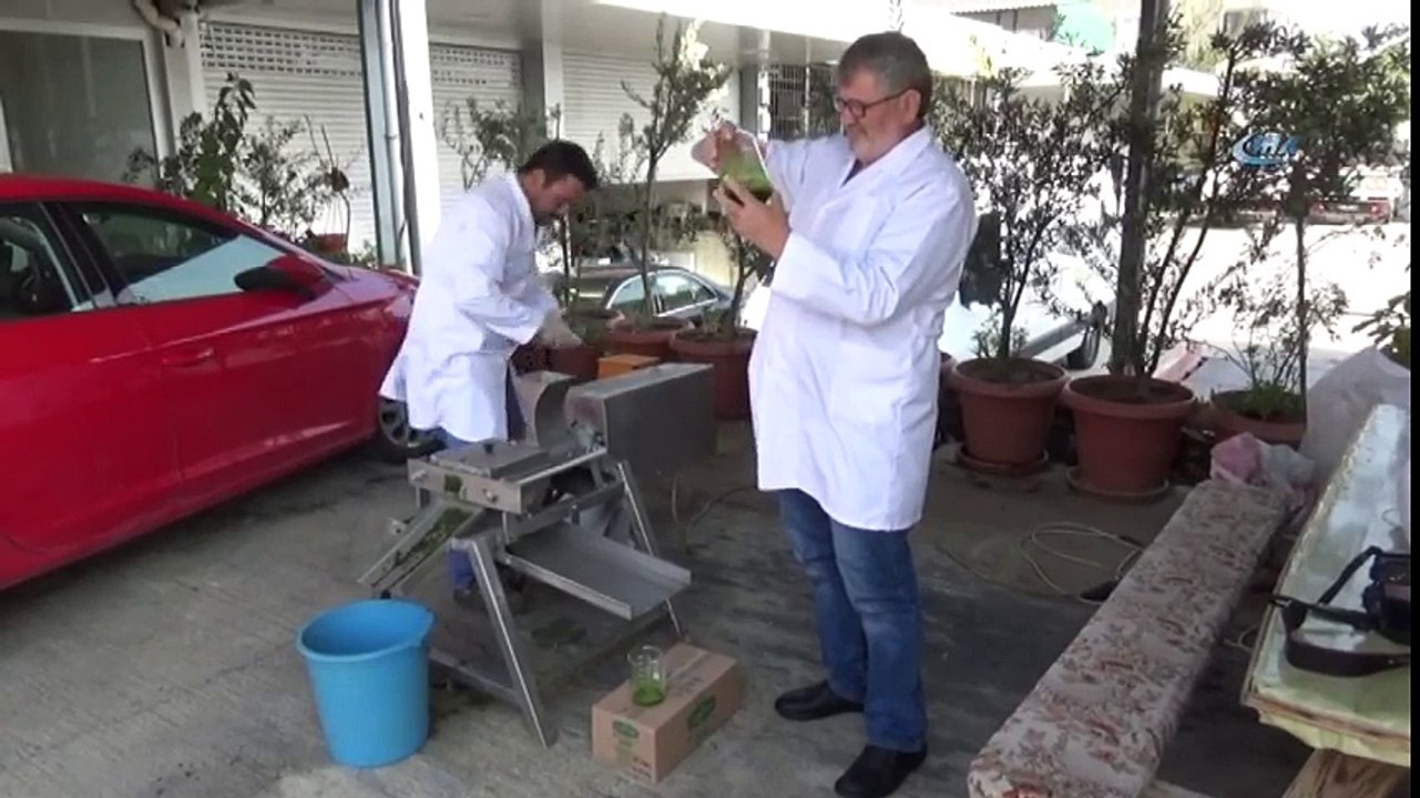 Bitki Can Sularından Alınan Etken Madde İle İlaç Sektöründe Çığır Açtılar