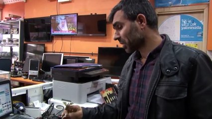 İstanbul'da ‘Mekik Kelebeği’ Bulundu