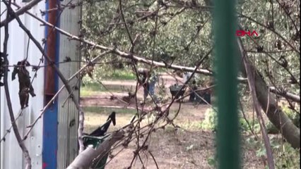 Bursa İznik'te Korumaya Alınan Alanda 1 Lahit Daha Bulundu