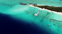 Summer Island Maldives in partnership with Reef Design Lab has designed and installed the world's largest 3-D printed reef in the Maldives, to study how corals