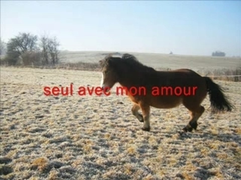 Looping et moi video..................