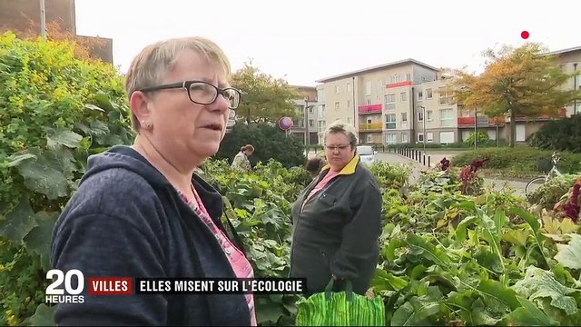 Des communes misent sur l'écologie pour devenir attractives