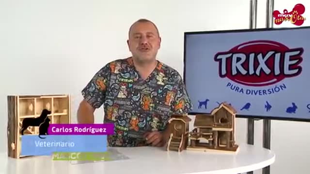 Accesorios naturales para roedores