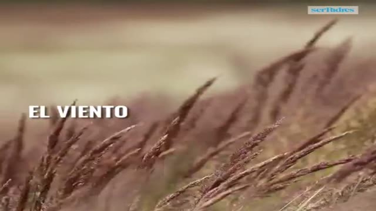 Trucos para ponerse el abrigo