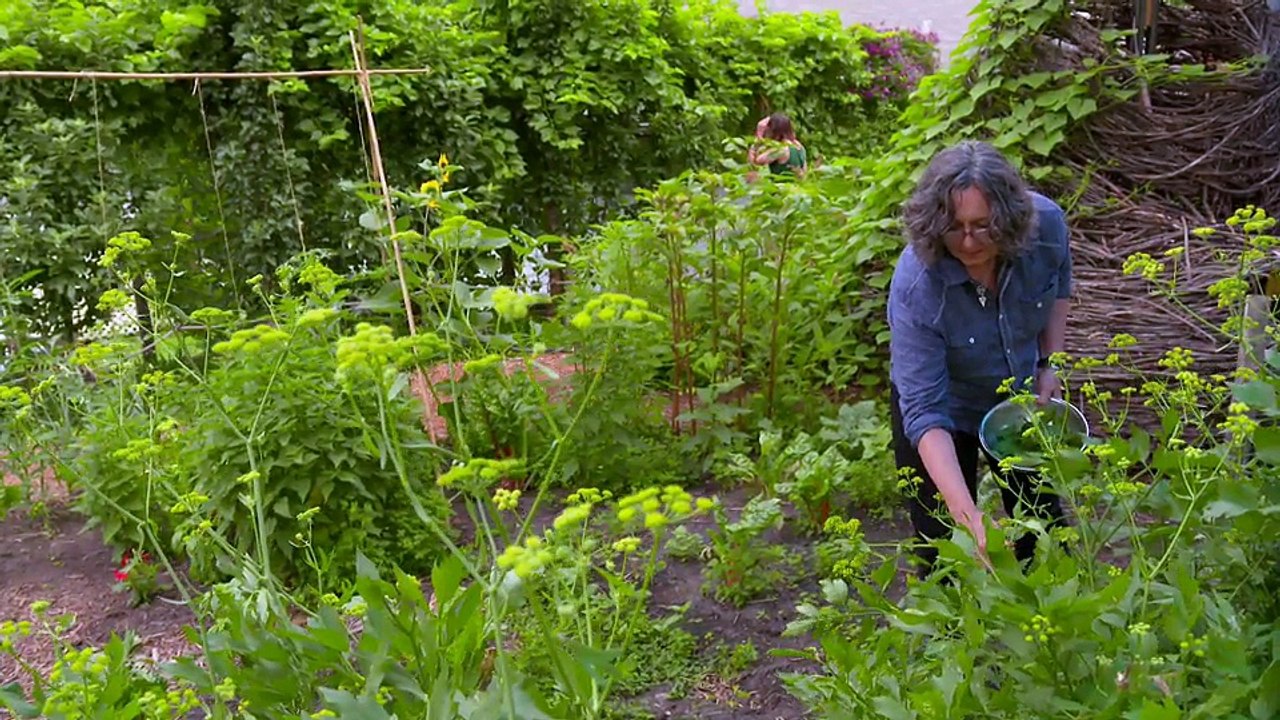 Naturally Danny Seo S03E02 WEB x264-CookieMonster