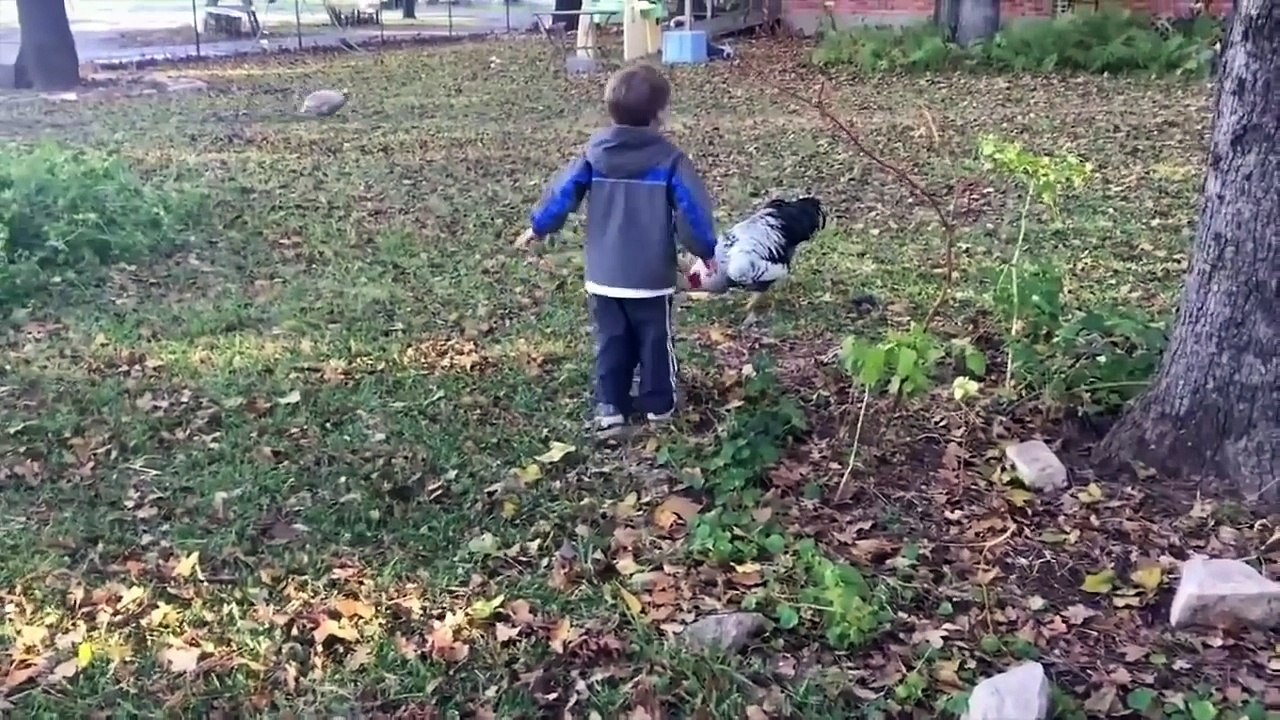 Try Not To Laugh Watching - Funny Kids Fails Compilation October 2018  - Best Funny Vines