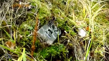 Survivorman S06E03 Mystery Of Bigfoot Mountain