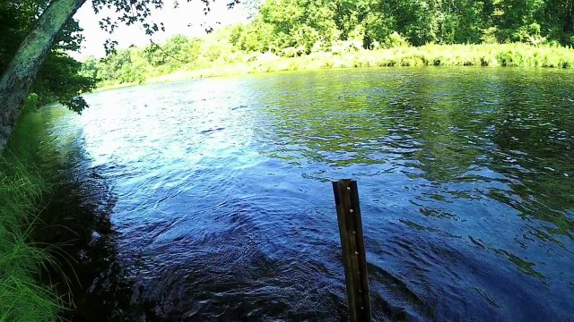 Catholic Hike Pilgrimage| St Odilia Shrine- Jesus is the Only Way #9