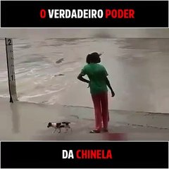 O verdadeiro poder de um Chinelo na mão de uma Mãe!