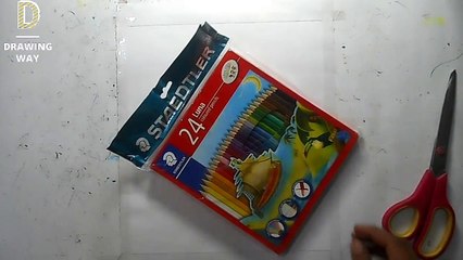 STAEDTLER 24 Luna Coloured pencils unboxing in Hindi (261)