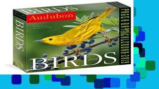 Library  Audubon Birds Page-A-Day Calendar 2019