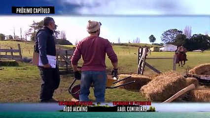 14 Isla Paraíso Avance