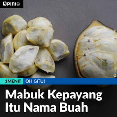 #1MENIT | Mabuk Kepayang Itu Nama Buah