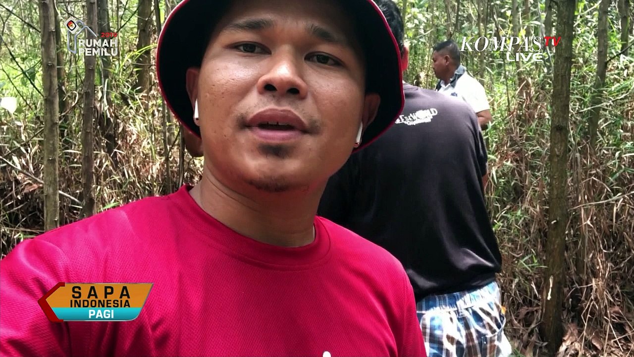 Madu dengan Perpaduan Rasa Buah-Buahan di Hutan...