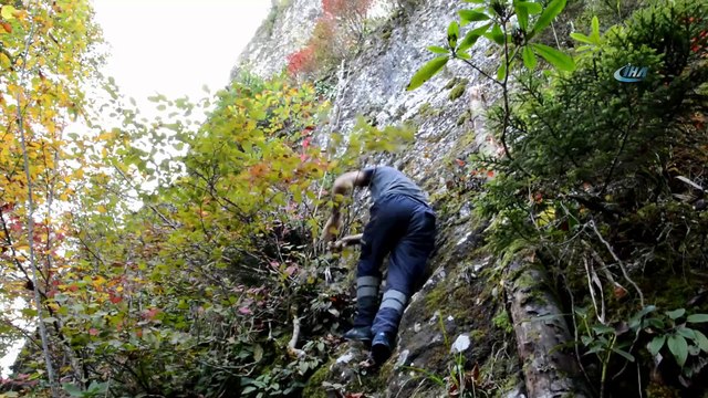 Karadeniz’in 'Peri Bacaları' havadan görüntülendi