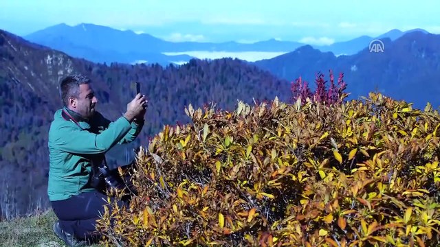 Karçal Dağları'nda sonbahar güzelliği - ARTVİN