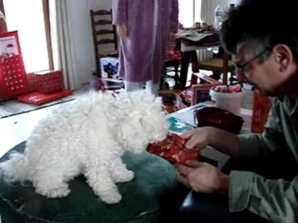 Decembre 2007 374