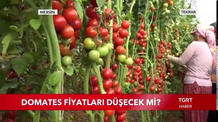 Ekrem Açıkel ile TGRT Ana Haber - 18 Ekim 2018