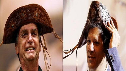Haddad acusa Bolsonaro de criar "organização criminosa"