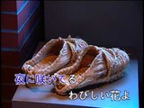 【HD】日本演歌熱唱(9)_酒場の花_（人聲）MV