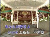 【HD】日本演歌熱唱(17)_不断草 (不斷草)_（人聲）MV