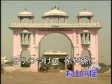 【HD】日本演歌熱唱(7)_年輪(年齡)_（伴奏）MV