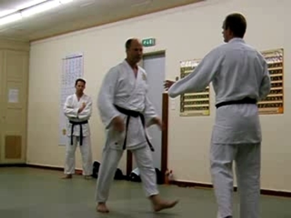 Tai-jitsu - eri-seoi-nage