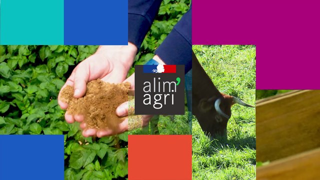 L'apprentissage dans l'enseignement agricole : une voie de réussite