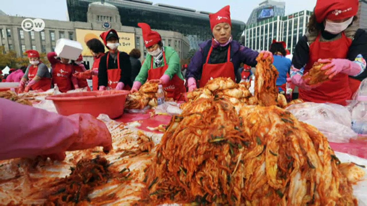 Fermentationskunst: die manufaktur "mimi" | dw deutsch