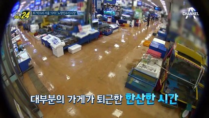 새벽을 깨우는 활어들! 노량진 수산시장 경매 현장 대공개~